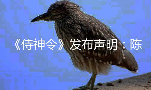 明发布声为电主角影唯一男陈坤侍神令