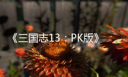 复刷K版重智力国志攻略三
