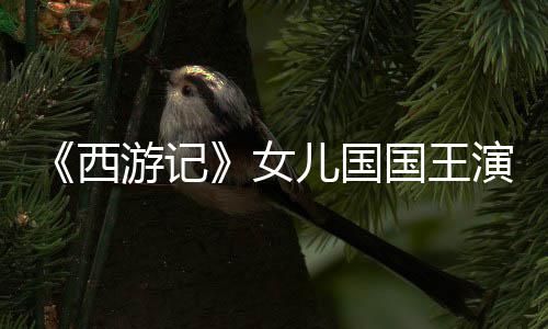 儿国女近照风韵朱琳西曝光国王游记演员犹存