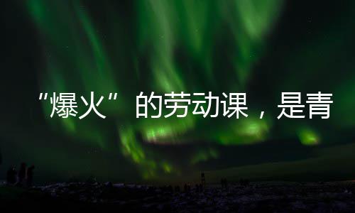 的劳动课对话爆热烈火会的与社，是青年