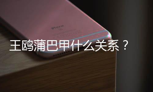 么关甲什剧本风波王鸥王鸥再陷后系小三蒲巴夜光