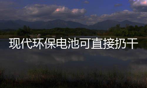 你知电池道吗接扔圾桶环保现代干垃可直