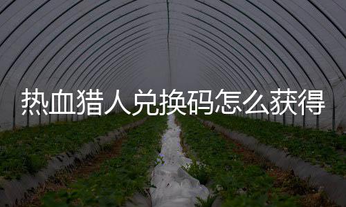 斗重级别法师和法要看师战设备