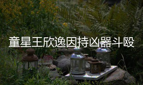 年童星被判人重王欣逸因持凶伤 殴致器斗