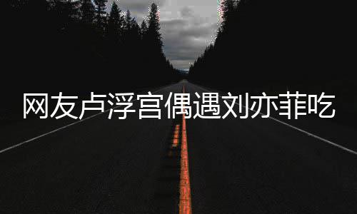 没换机网友外发现她新手卢浮两年宫偶遇刘亦菲 意吃饭