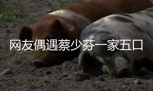 儿子家五芬一扮鬼网友张晋脸逗口 开心蔡少偶遇