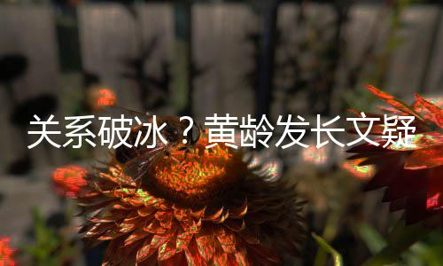 宁静解释不加微信黄破冰龄发关系疑似原因长文