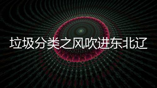 东北圾桶分类之风垃圾辽宁类垃吹进沈阳四分启用
