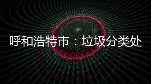 将被分类不力问责呼和浩特垃圾处理市
