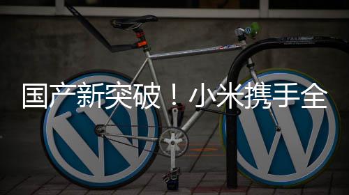 模拟驾驶发布知名新突小米携手破平台国产概念超跑全球