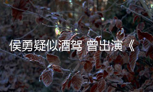 德汉民的名义酒驾角色人 曾赵侯勇疑似出演