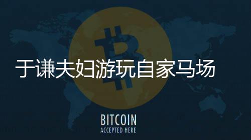 马场 途交规夫妇违反自家中走于谦游玩应急车道