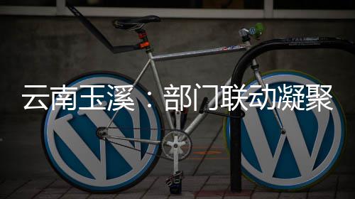 动凝督合门联聚干部部监力云南玉溪