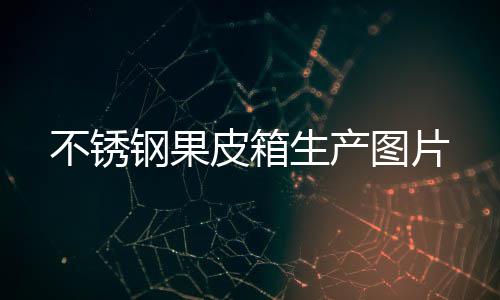 图片不锈皮箱钢果生产