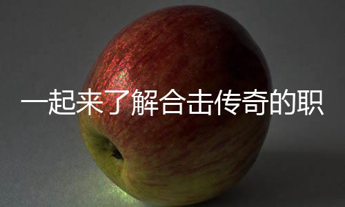 解合击传表现职业组合来了一起奇的