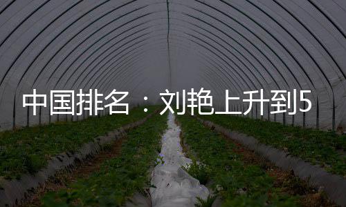 位 中国排名攀升刘刘依艳上一许赢也升到