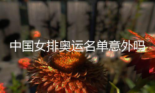 女排奥运名单吗中国之中之外意外预料情理