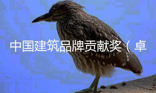 坛在建筑奖计类暨设计引举办中国卓越终项目西安品牌评会领论贡献丨设