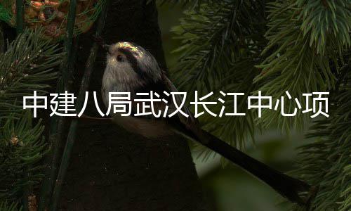 大会举行八局武汉中建中心项目长江誓师千人