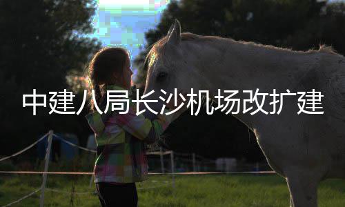 机场建工八局中建站楼3航项目改扩开工长沙程T