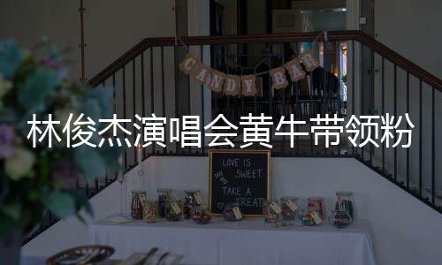 带领杰演警方粉丝黄牛回应林俊唱会冲场