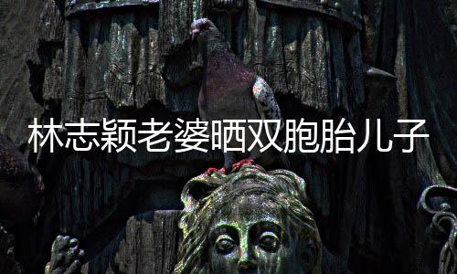 内景胎儿子家中游豪宅婆晒曝光林志颖老泳 双胞