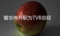 曾志伟升职为TVB总经理 将负责节目内容运营