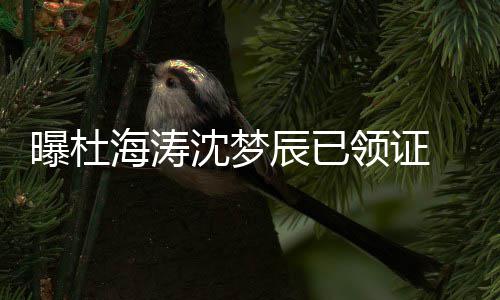 方暂未就海涛回应曝杜领证辰已此事沈梦 双
