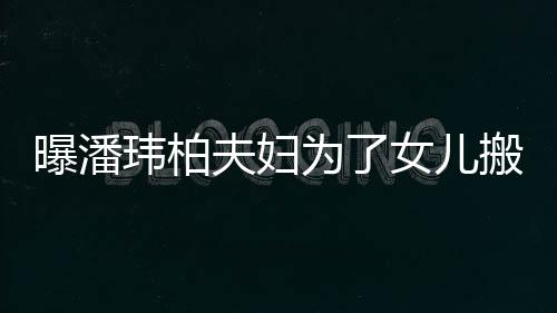 女儿境美夫妇搬家玮柏为了宅环 豪曝潘设施全