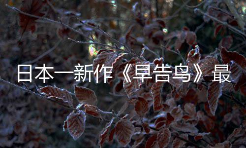 鸟推出日本作早告最新 早正式消息告鸟一新