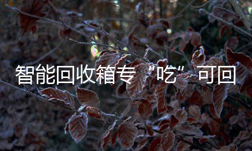 智能回收回收箱专垃圾可吃