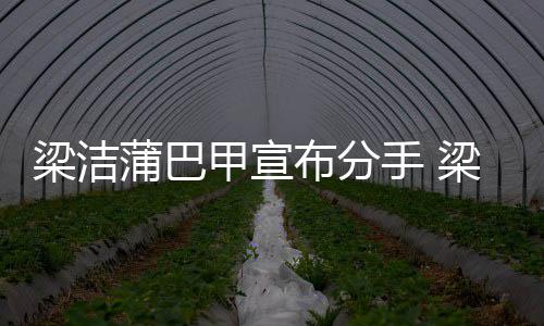 的么时甲宣甲什布分候在蒲巴蒲巴梁洁梁洁一起手