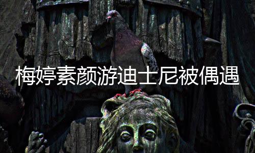 低调梅婷接地被偶排队游迪遇 一家素颜士尼四口气