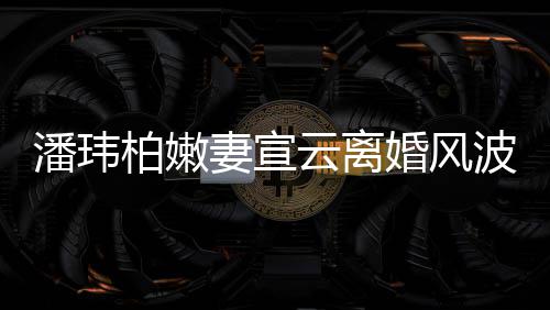 图级餐柏嫩波后婚风新 潘玮云离首更晒高妻宣