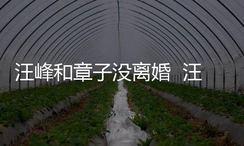 戴婚调出戒高街 汪峰汪峰子没注目和章离婚引人