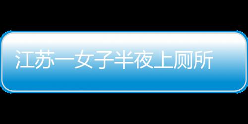 到屁 马桶里江苏子半股一女夜上一条厕所窜出蛇顶