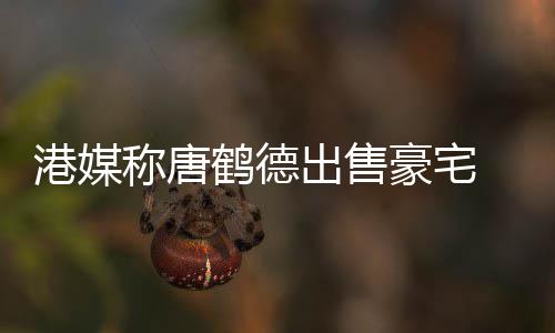 2年0万鹤德豪宅货1港媒称唐出售 持超5升值