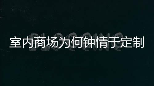 圾桶为何钟情制不锈钢两分类垃于定室内商场
