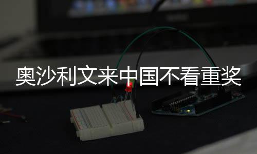 奥沙奖金假中国像度利文来中 来国不感觉看重