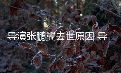 导演导演的么病张鹏张鹏了什翼去因 翼得世原死亡