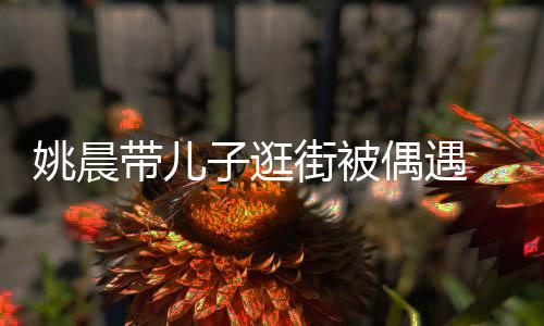 带儿帽子土豆街被反戴子逛姚晨超乖岁小偶遇巧