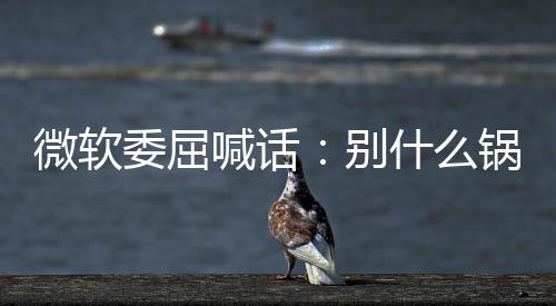 己干别微软委屈喊话新 先想想自了啥锅都n更什么甩给