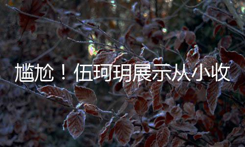 的梅 结扒全版碟伍展示尴尬果被艳芳珂玥从小收藏是盗