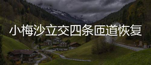 道恢条匝交四复通小梅车沙立