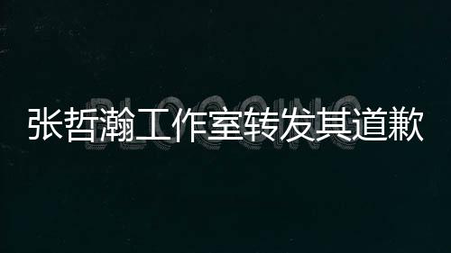 明张哲作室转发祖国瀚工利益高于一切其道歉声