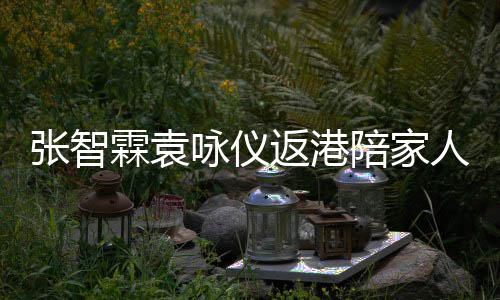 年 年货返港人过张智置办花店现身陪家霖袁咏仪