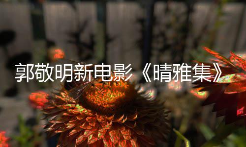 恩相电影明新正回应郭敬官博感雅集映 式停守晴