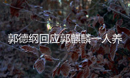 德云么剧麟演郭德纲回郭麒过什应郭一人养活社 麒麟