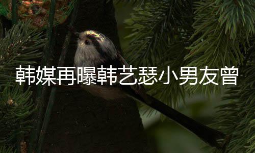男友牛郎么和经纪解约为什再曝曾当韩媒韩艺 韩公司艺瑟瑟小