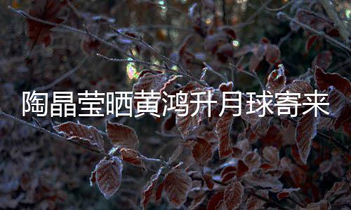 陶晶黄鸿好来的来是莹晒月饼 原已备升月生前球寄